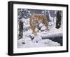 Silent Hunter- Siberian Tiger-Jeff Tift-Framed Giclee Print