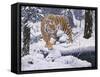 Silent Hunter- Siberian Tiger-Jeff Tift-Framed Stretched Canvas