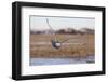 Silent Hunter-Peter Stahl-Framed Photographic Print