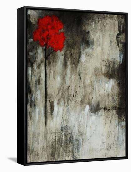 Silent II-Tim O'toole-Framed Stretched Canvas