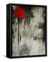 Silent II-Tim O'toole-Framed Stretched Canvas