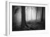 Silent Journey-David Baker-Framed Photographic Print