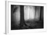 Silent Journey-David Baker-Framed Photographic Print