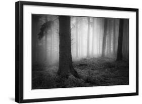 Silent Journey-David Baker-Framed Photographic Print