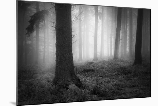 Silent Journey-David Baker-Mounted Photographic Print