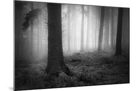 Silent Journey-David Baker-Mounted Photographic Print