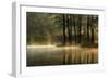 Silent Light.-Agnieszka Jankowska-Framed Giclee Print