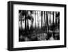Silent Light-Jacob Berghoef-Framed Photographic Print