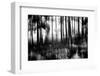 Silent Light-Jacob Berghoef-Framed Photographic Print
