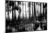Silent Light-Jacob Berghoef-Mounted Photographic Print