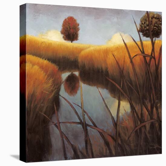 Silent Meadow II-James Wiens-Stretched Canvas