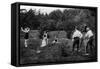 Silent Movie-null-Framed Stretched Canvas