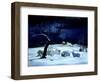 Silent Night, Holy Night, 1995-Magdolna Ban-Framed Premium Giclee Print