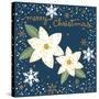 Silent Night Poinsettias-Annie LaPoint-Stretched Canvas