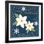 Silent Night Poinsettias-Annie LaPoint-Framed Art Print