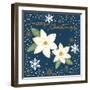 Silent Night Poinsettias-Annie LaPoint-Framed Art Print