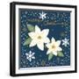 Silent Night Poinsettias-Annie LaPoint-Framed Art Print