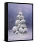 Silent Night-Kathie Thompson-Framed Stretched Canvas