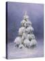 Silent Night-Kathie Thompson-Stretched Canvas