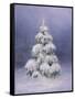 Silent Night-Kathie Thompson-Framed Stretched Canvas