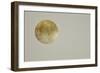 Silent olive, 2017 hot stamping leaf roll on paper-Angus Hampel-Framed Giclee Print