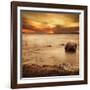 Silent Rock-Irene Suchocki-Framed Photographic Print