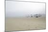 Silent Sands-Valda Bailey-Mounted Photographic Print