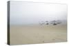 Silent Sands-Valda Bailey-Stretched Canvas