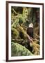 Silent Sentinel Alaska-Art Wolfe-Framed Giclee Print