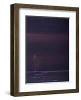 Silent Shore-Jacob Berghoef-Framed Photographic Print