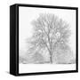 Silent Shroud-Doug Chinnery-Framed Stretched Canvas