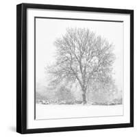 Silent Shroud-Doug Chinnery-Framed Photographic Print