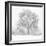 Silent Shroud-Doug Chinnery-Framed Photographic Print