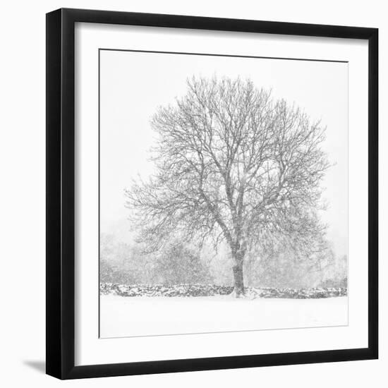 Silent Shroud-Doug Chinnery-Framed Photographic Print