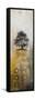 Silent Tree I-Michael Marcon-Framed Stretched Canvas