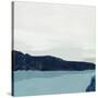 Silent Water-Tom Reeves-Stretched Canvas