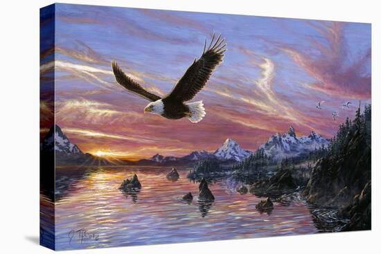Silent Wings of Freedom-Jeff Tift-Stretched Canvas