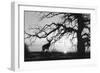 Silhouette 2-Gordon Semmens-Framed Photographic Print