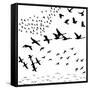 Silhouette A Flock of Birds-Yuliya Yurchenko-Framed Stretched Canvas