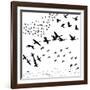 Silhouette A Flock of Birds-Yuliya Yurchenko-Framed Art Print