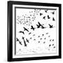 Silhouette A Flock of Birds-Yuliya Yurchenko-Framed Art Print