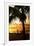 Silhouette at Sunset - Florida-Philippe Hugonnard-Framed Premium Photographic Print
