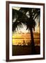 Silhouette at Sunset - Florida-Philippe Hugonnard-Framed Premium Photographic Print