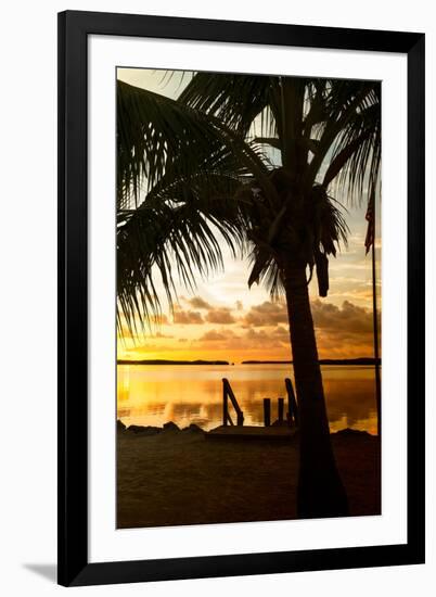 Silhouette at Sunset - Florida-Philippe Hugonnard-Framed Premium Photographic Print