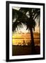 Silhouette at Sunset - Florida-Philippe Hugonnard-Framed Premium Photographic Print