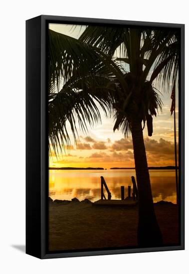 Silhouette at Sunset - Florida-Philippe Hugonnard-Framed Stretched Canvas