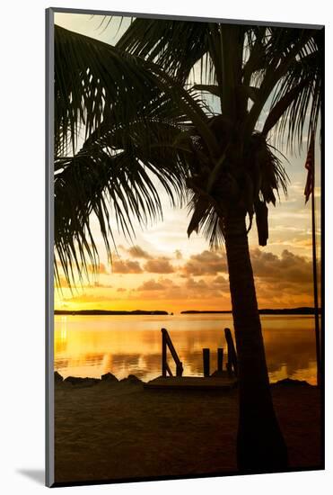 Silhouette at Sunset - Florida-Philippe Hugonnard-Mounted Photographic Print