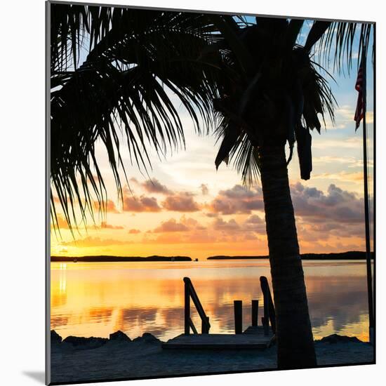 Silhouette at Sunset - Florida-Philippe Hugonnard-Mounted Photographic Print