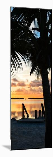 Silhouette at Sunset - Florida-Philippe Hugonnard-Mounted Photographic Print