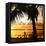 Silhouette at Sunset - Florida-Philippe Hugonnard-Framed Stretched Canvas